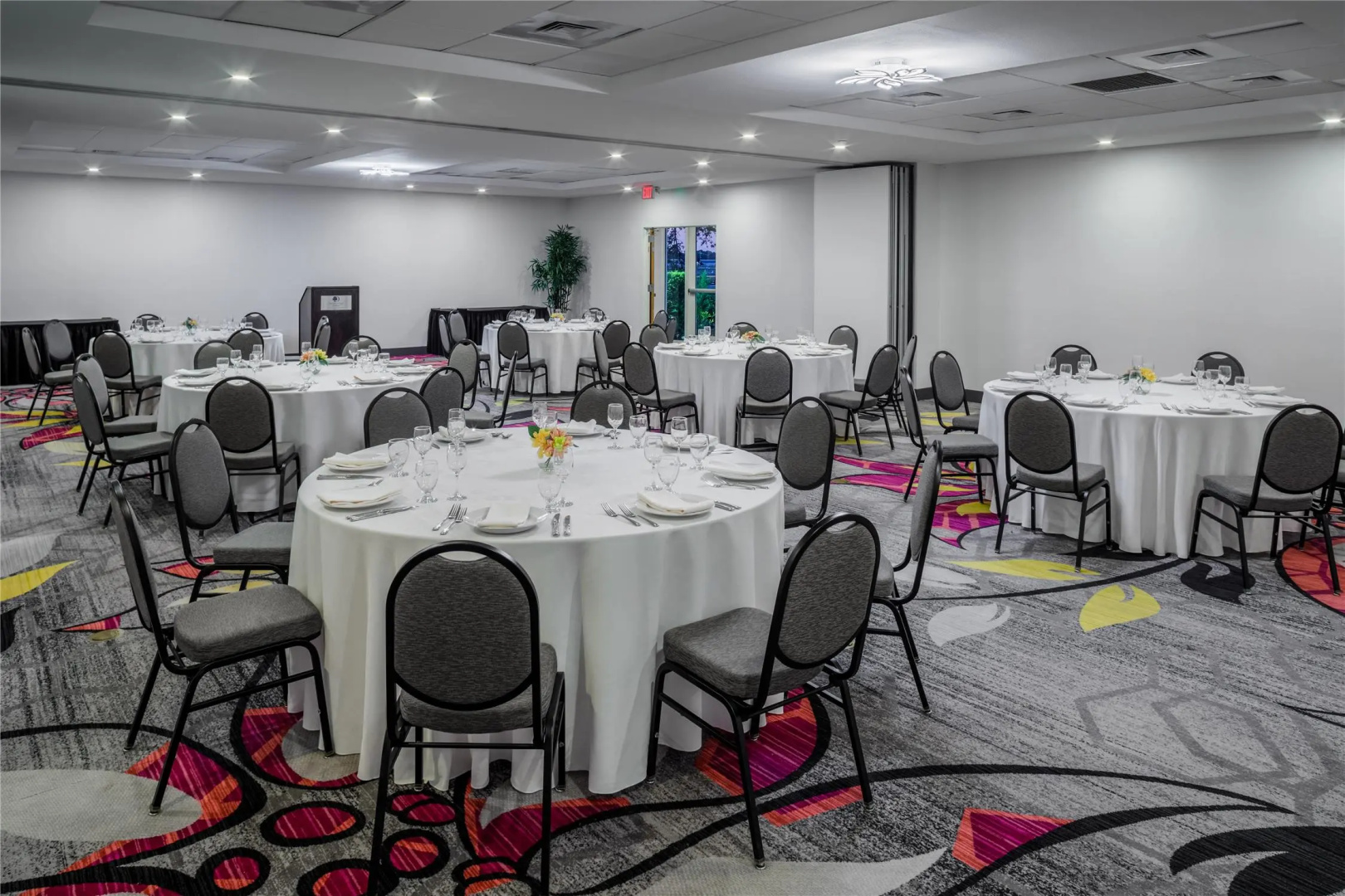 Foto - DoubleTree by Hilton Sarasota Bradenton Airport