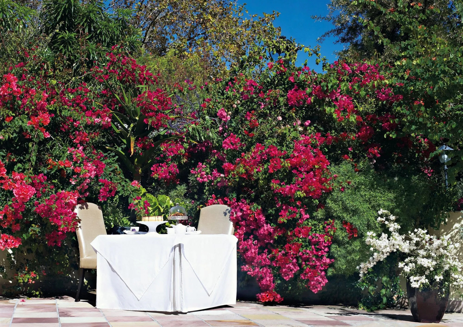 Photo - Last Word Constantia