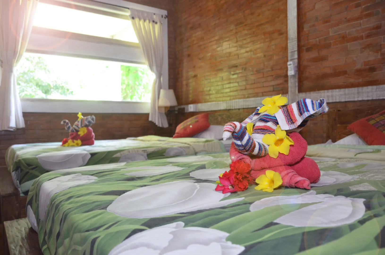 Foto - Medori Putih Homestay