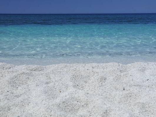 Foto - Sa Pedrera Country Hotel