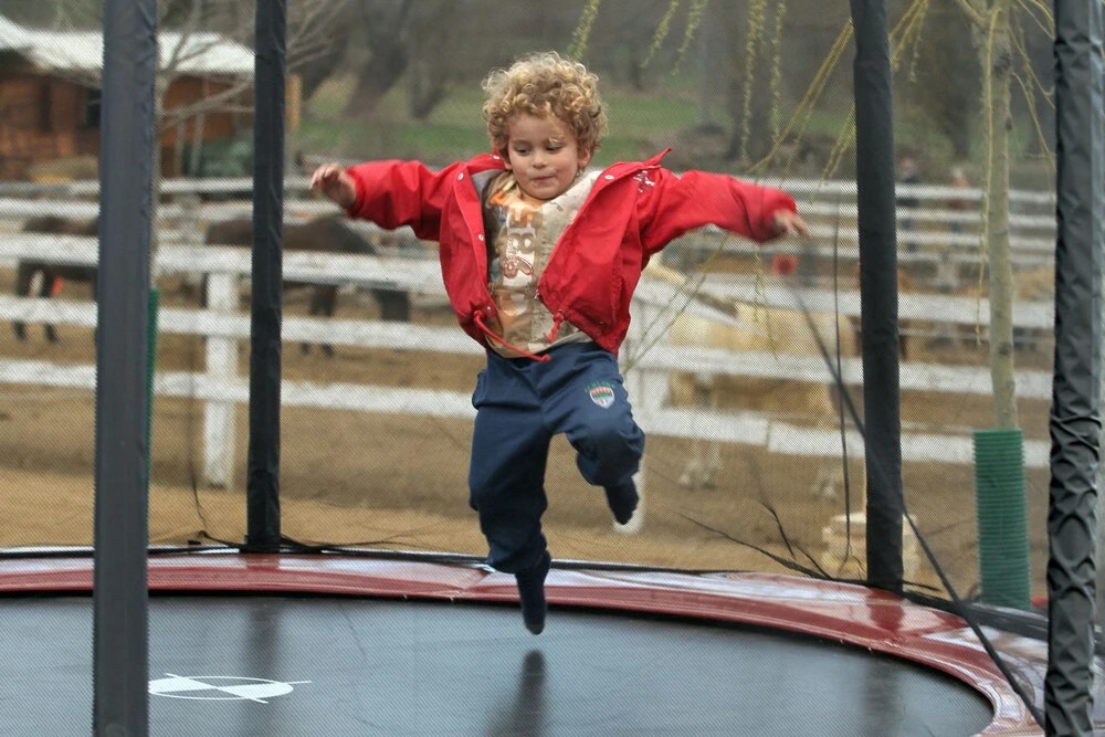 Photo - Cerdanya Viva Ecoestades