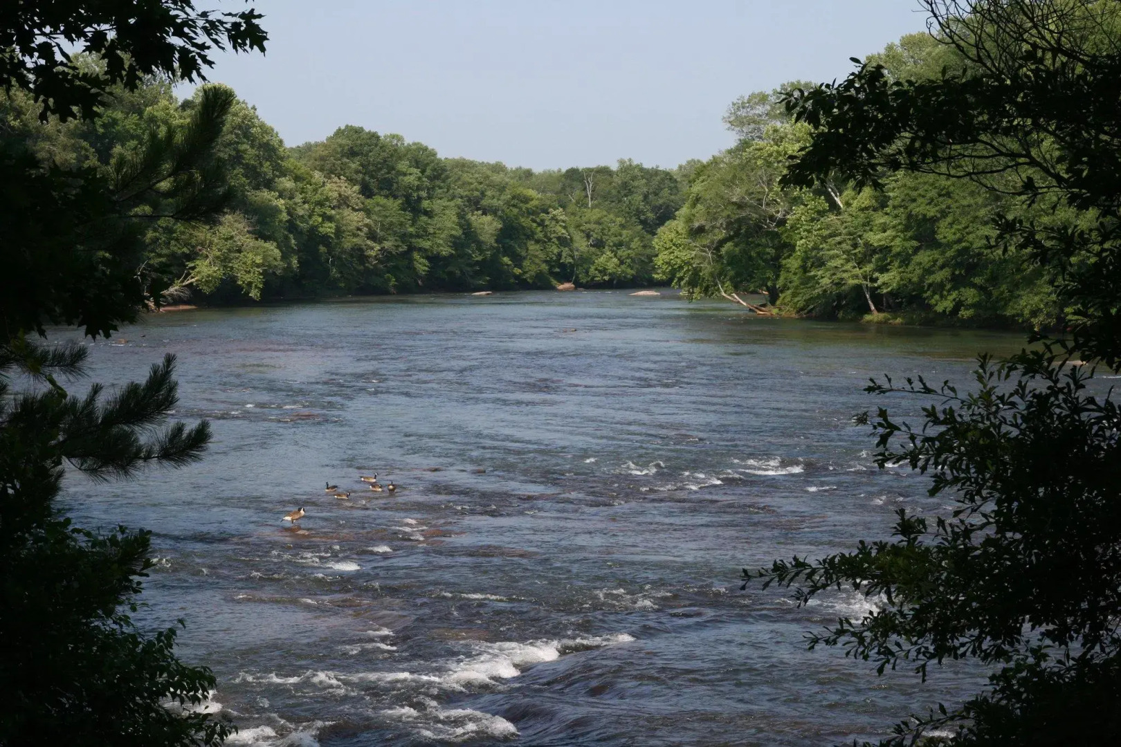 Photo - Hampton Inn Atlanta-Peachtree Corners/Norcross