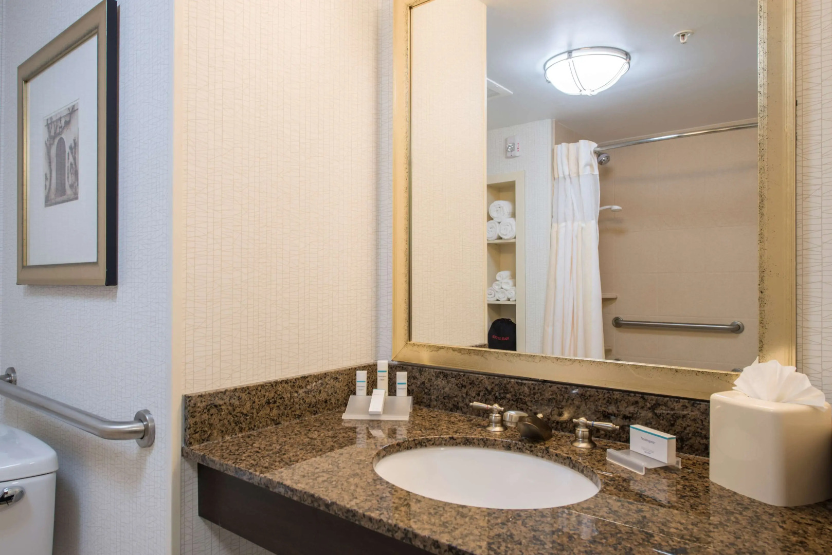 Photo - Hilton Garden Inn Atlanta Airport North