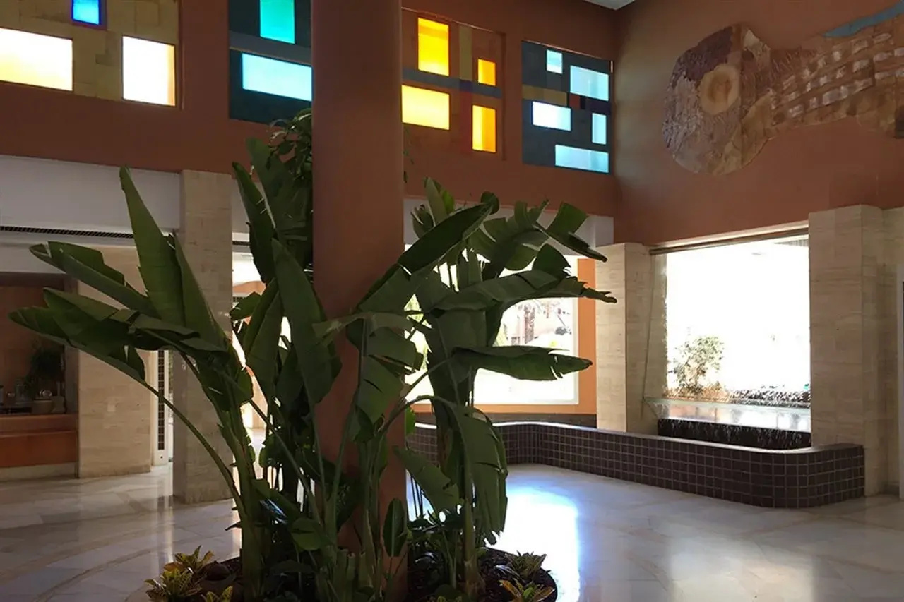 Foto - Arena Center