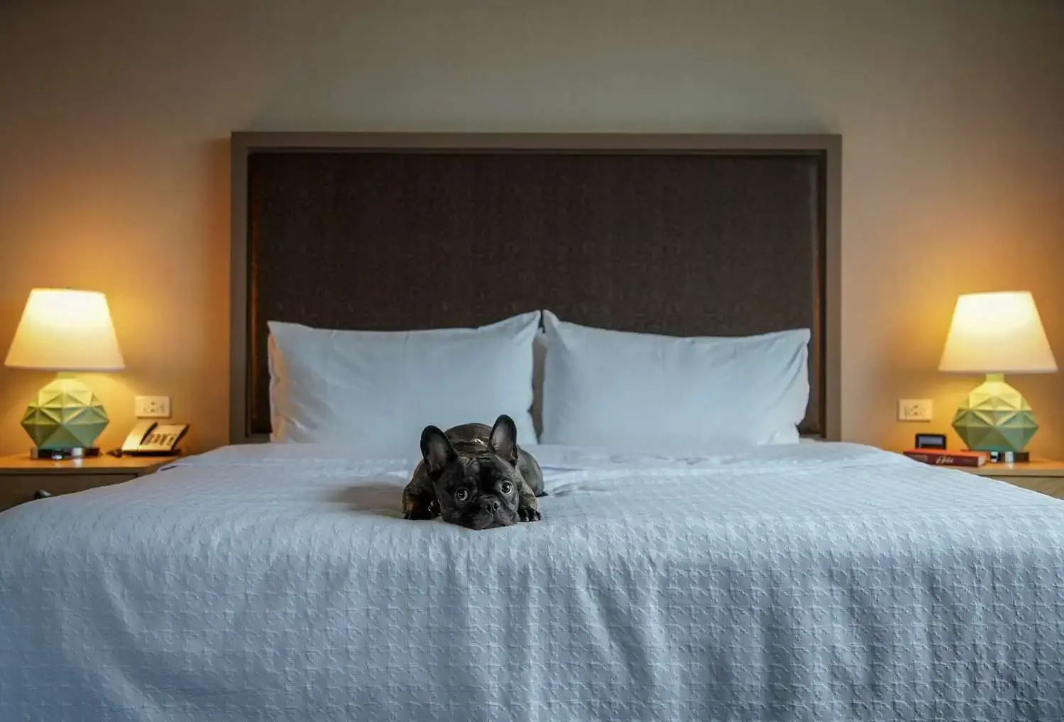 Photo - Homewood Suites by Hilton Chicago West Loop Fulton Mkt Area