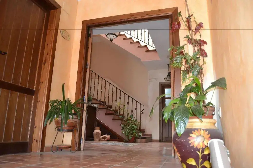 Foto - Hostal Toribio