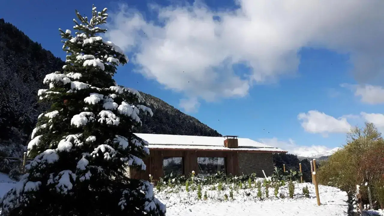 Foto - Les Pardines 1819 Mountain suites & SPA
