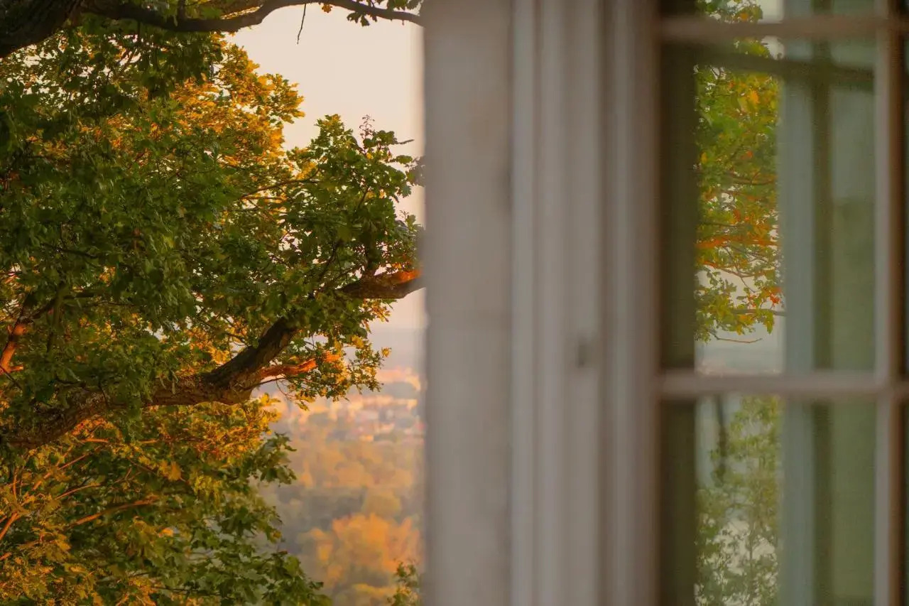 Photo - Zinar Castle