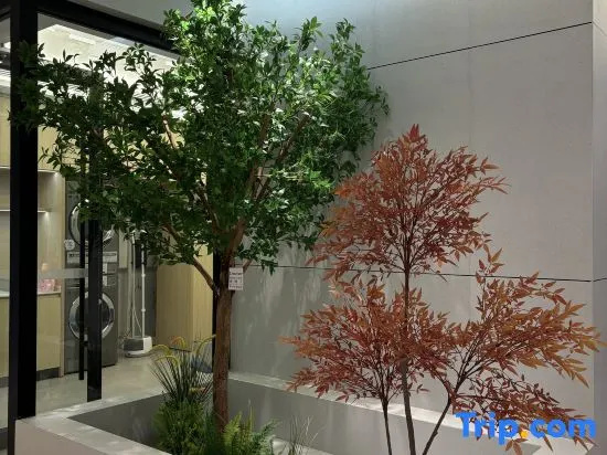 Homeinn · neo (Hejin Longgang Road)