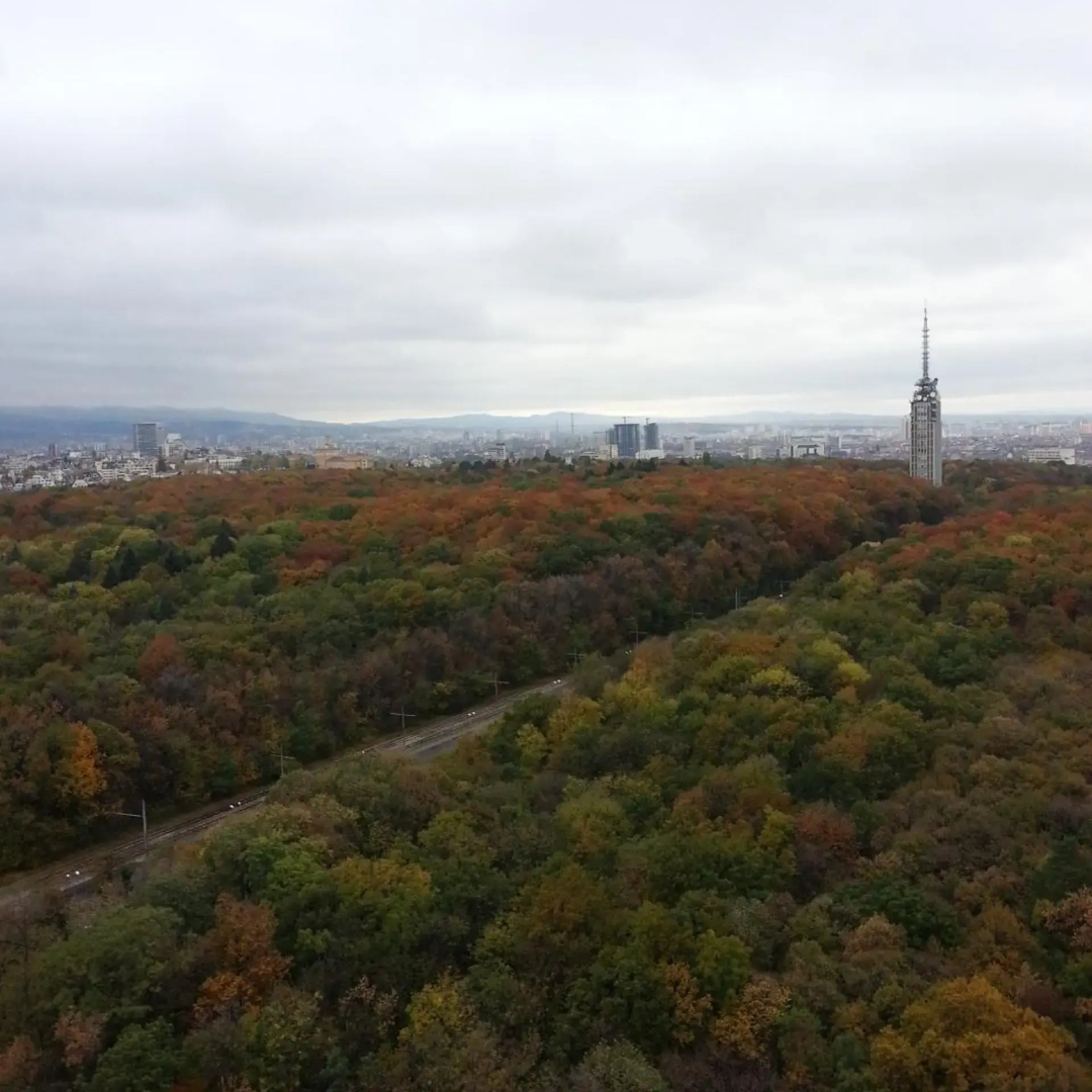 Foto - Park Hotel Moskva