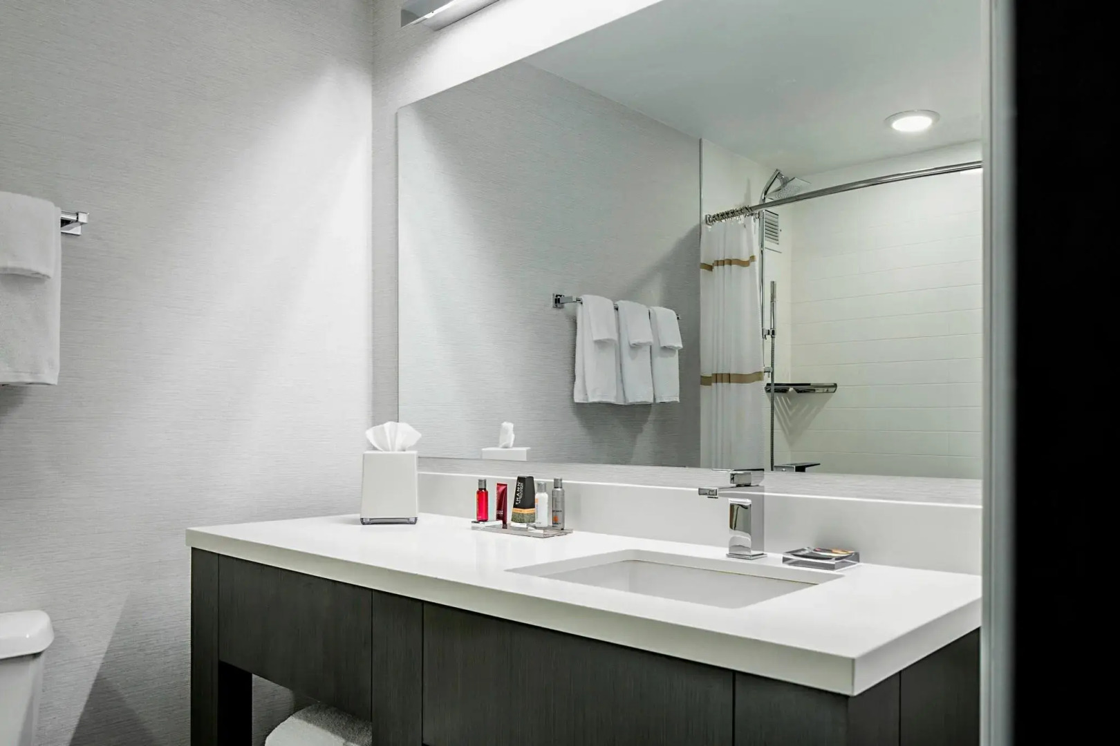 Foto - Marriott DFW Airport South