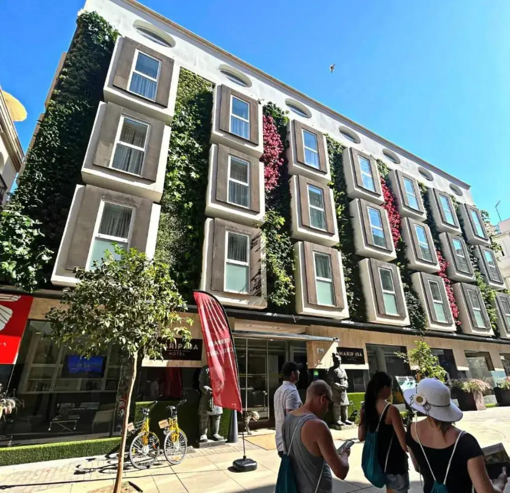 Photo - Mariposa Hotel Malaga