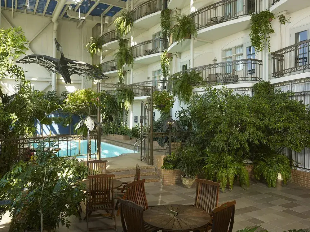 Foto - Hotel L'Oie des neiges