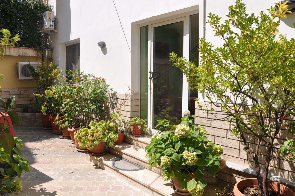 Photo - Hotel Pik Loti