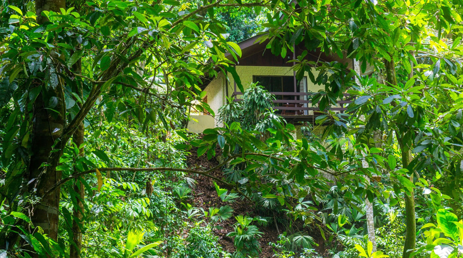 Foto - ECOTICA Boutique Hotel & Spa