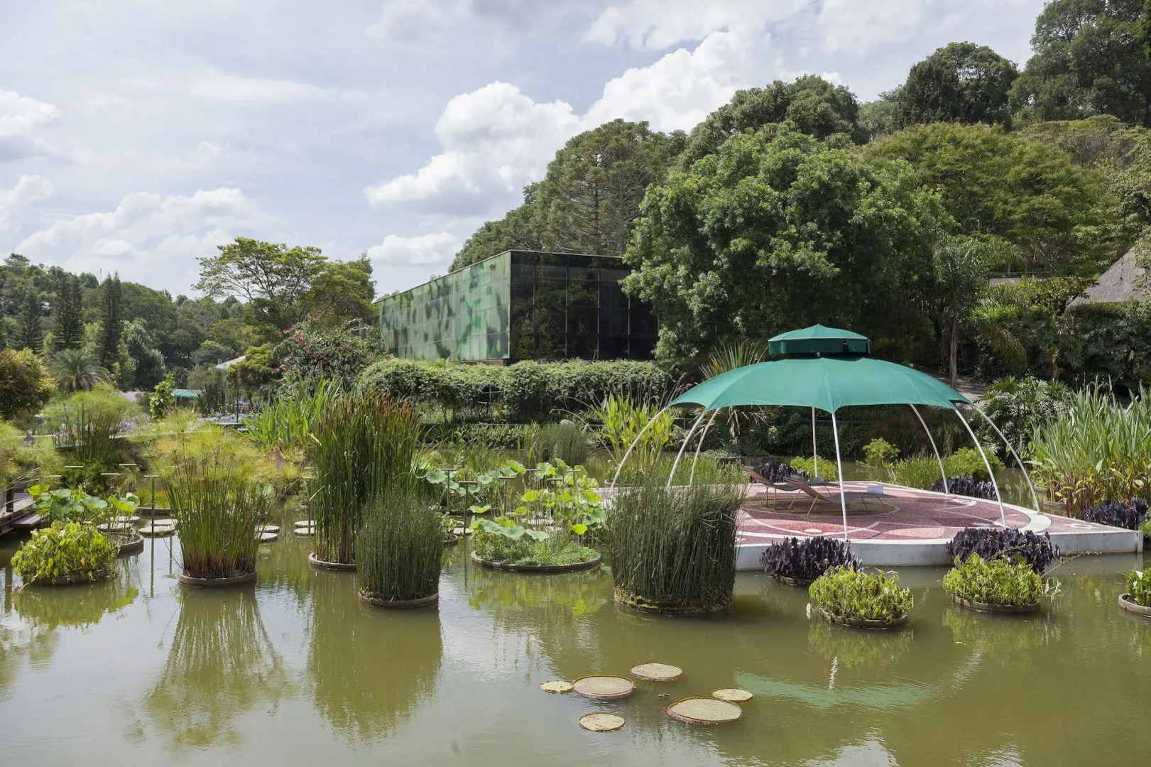 Photo - Unique Garden