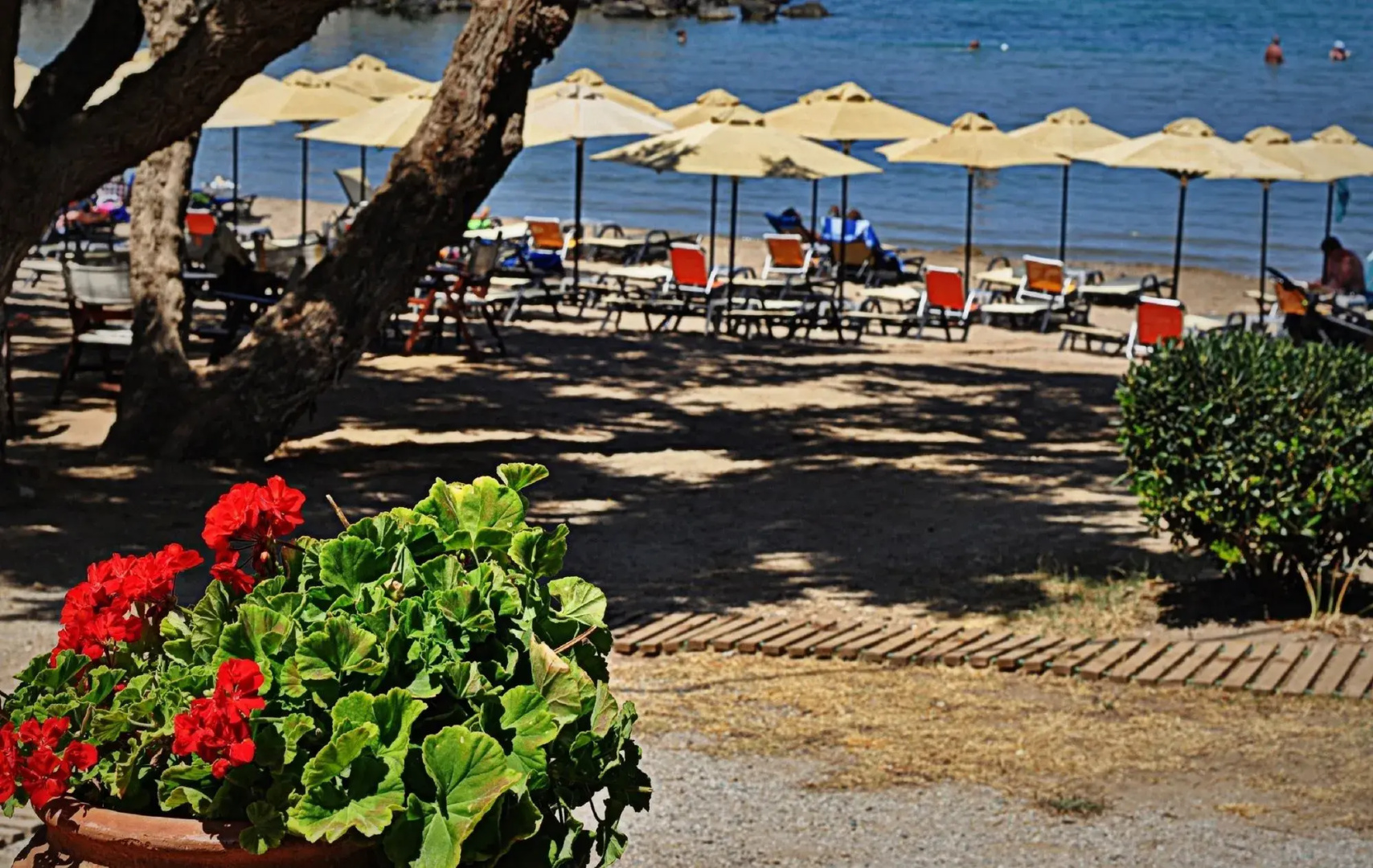 Foto - Aphrodite Beach