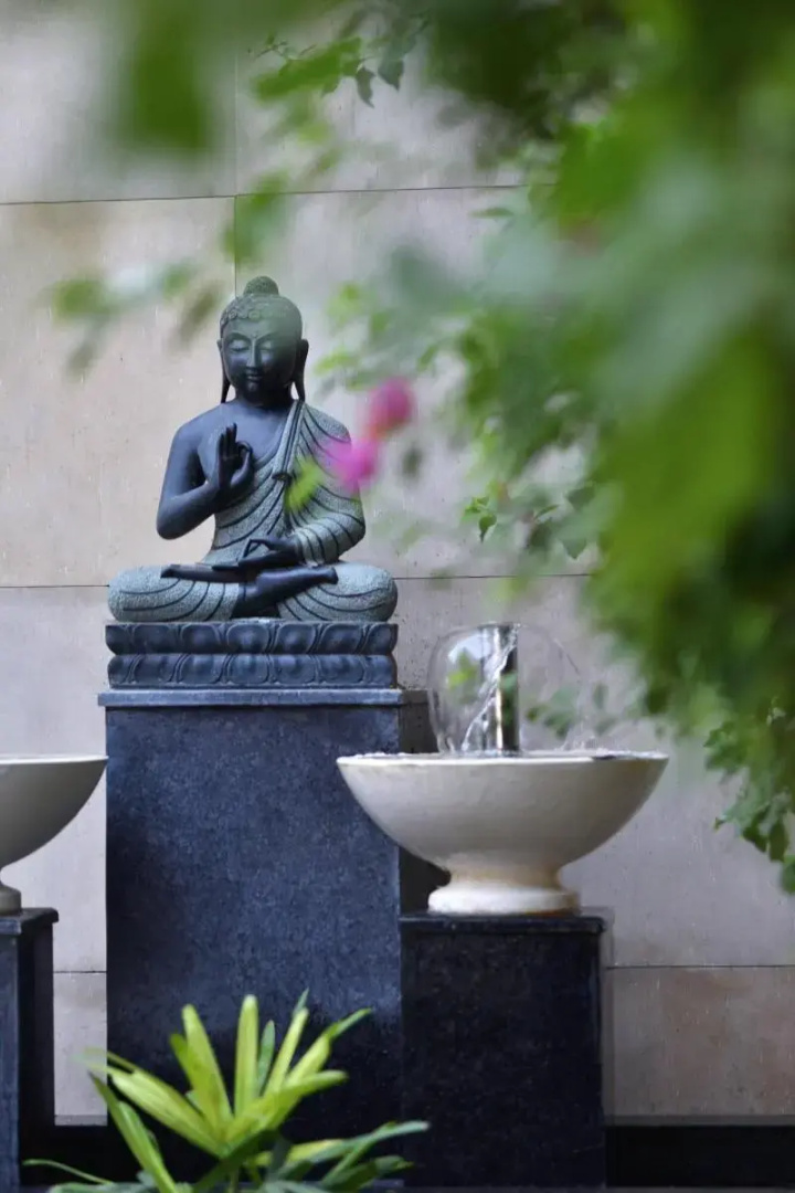 Photo - Four Points by Sheraton Jaipur, City Square