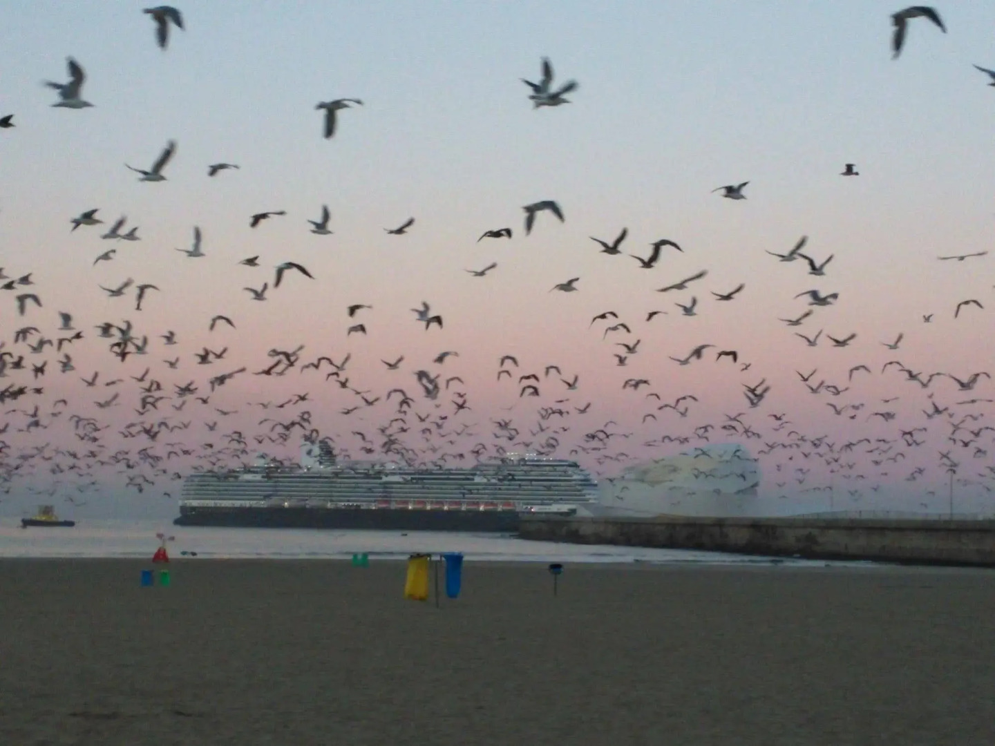 Foto - Hotel Amadeos - Matosinhos - Porto