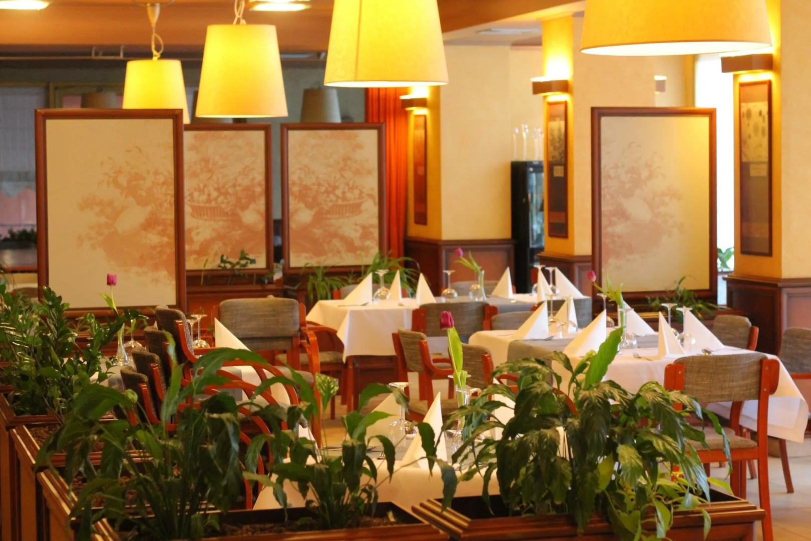 Foto - Business Hotel Vega