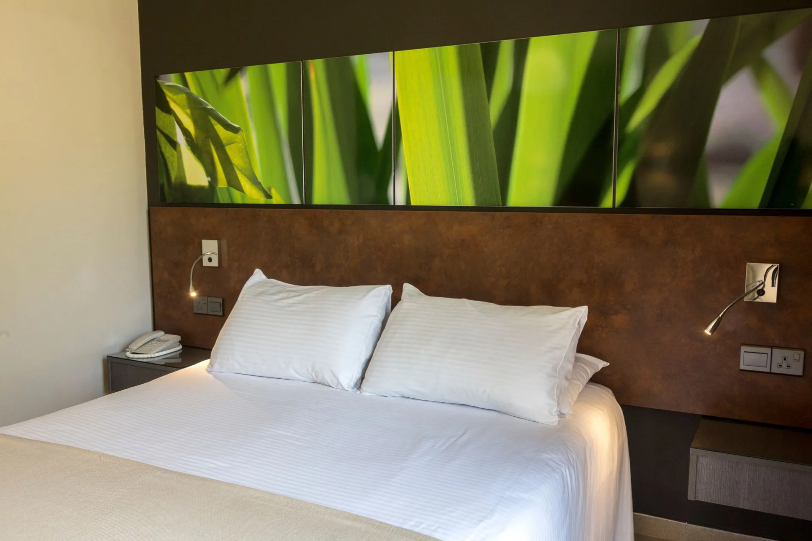 Photo - Mayfair Gardens