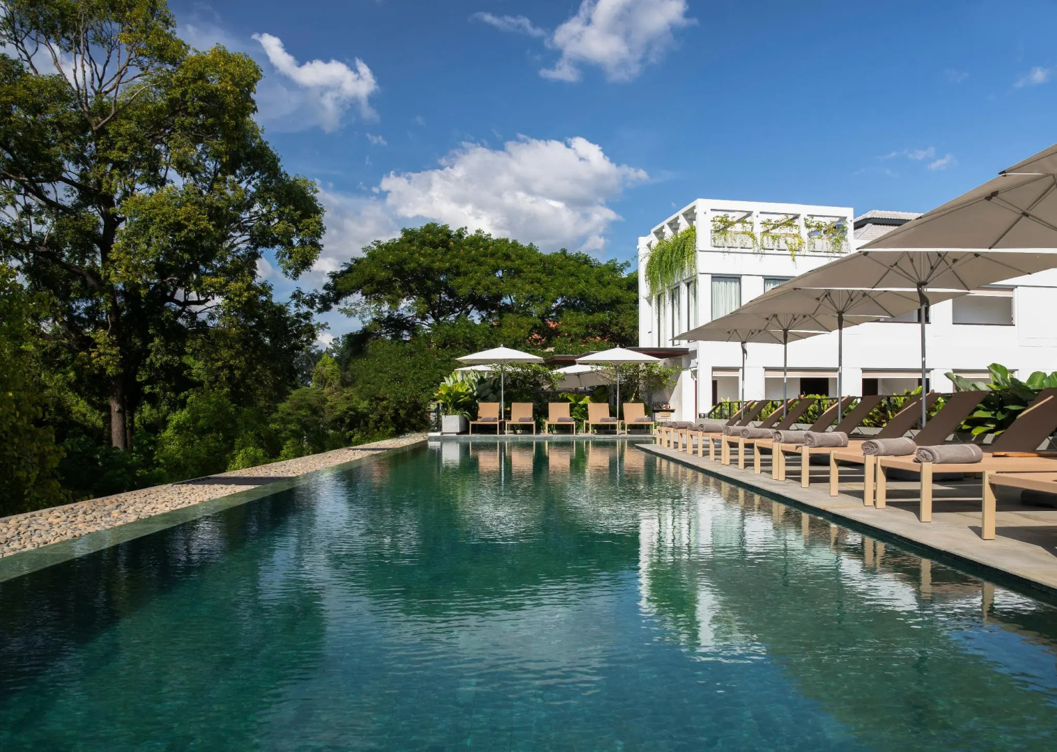 Foto - Treeline Urban Resort