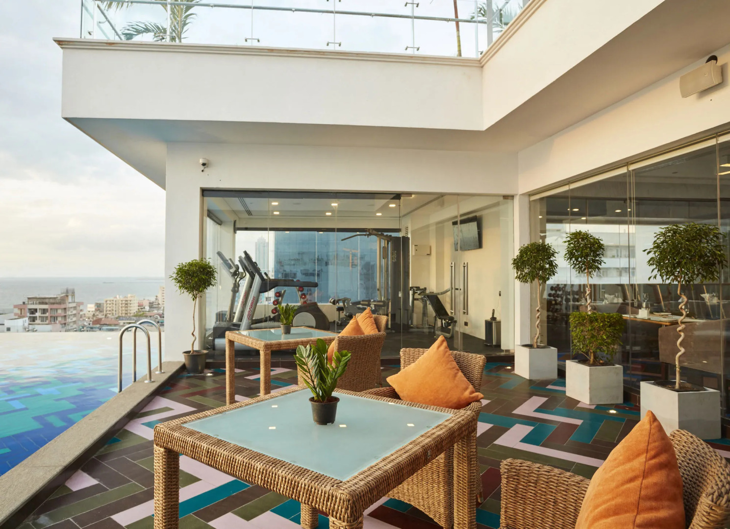 Foto - Mandarina Colombo