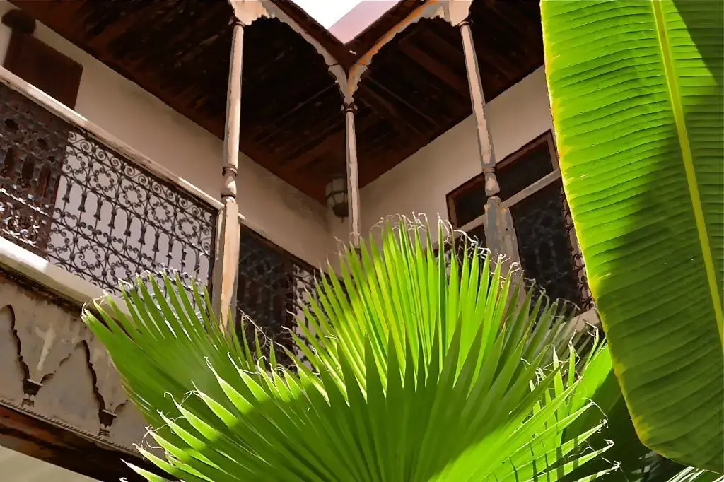 Foto - Riad Djebel