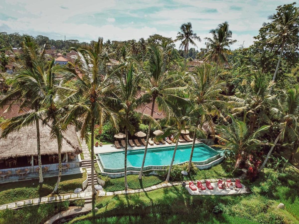 Foto - MATHIS Retreat Ubud