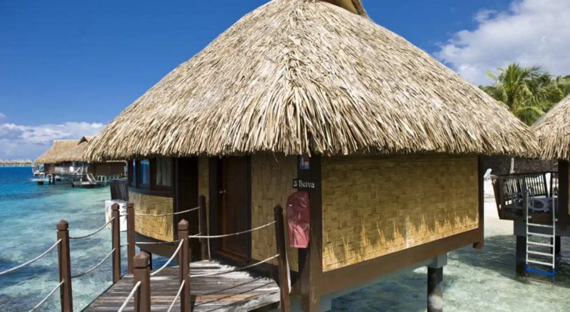 Photo - Maitai Bora Bora