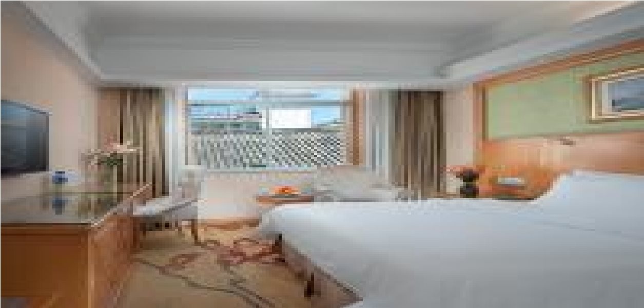 Vienna International Hotel