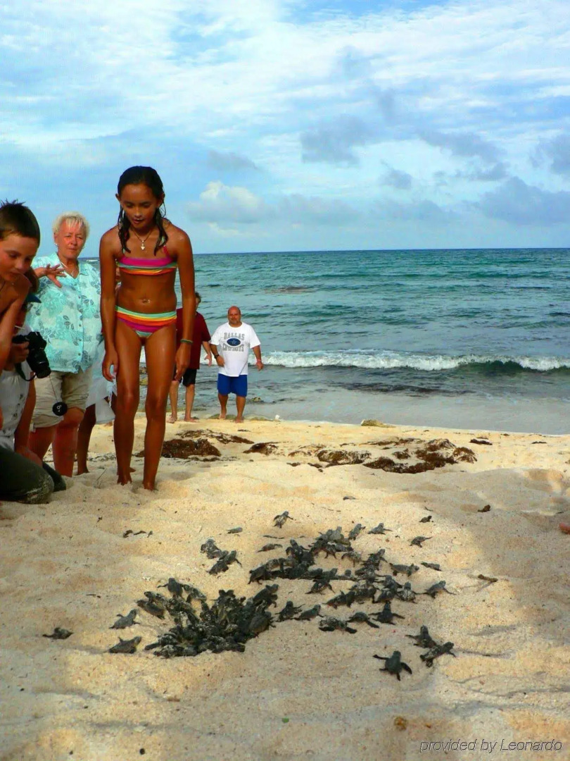 Foto - Las Villas Akumal