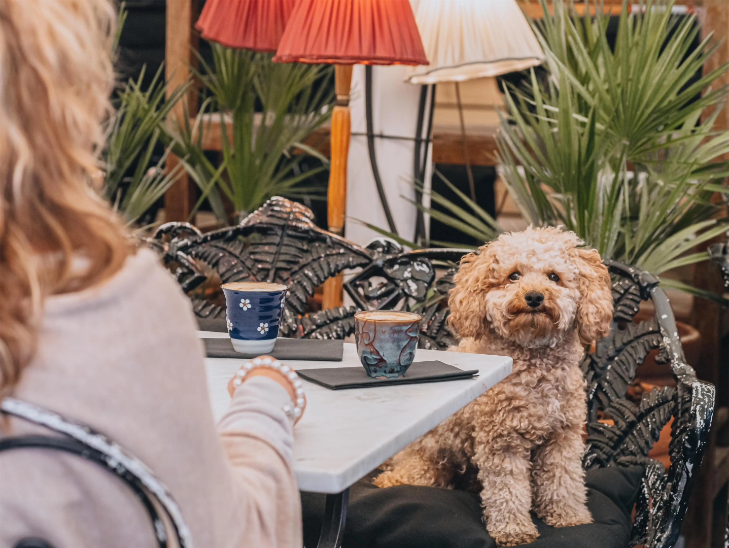 Foto - STORY HOTEL STOCKHOLM STUREPLAN, in JdV by Hyatt