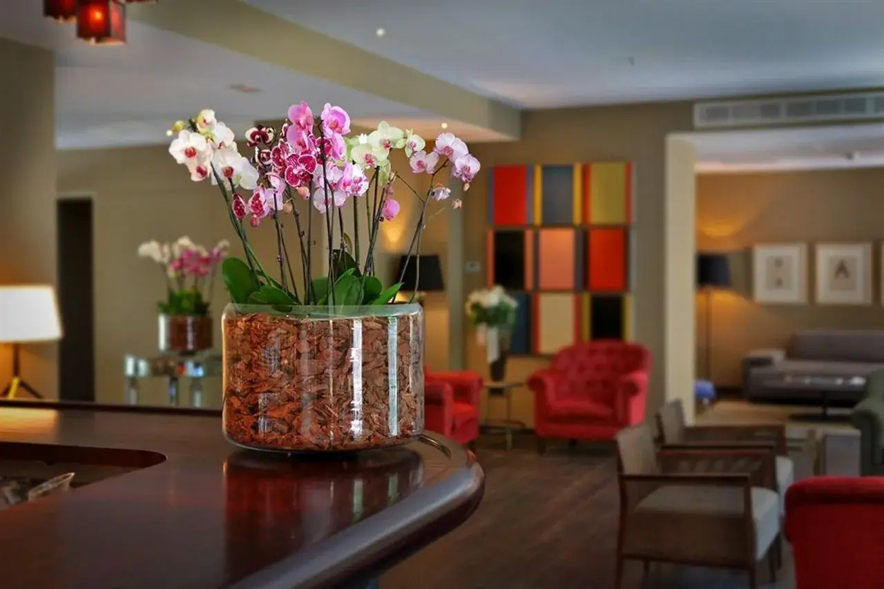 Foto - Can Alomar Hotel