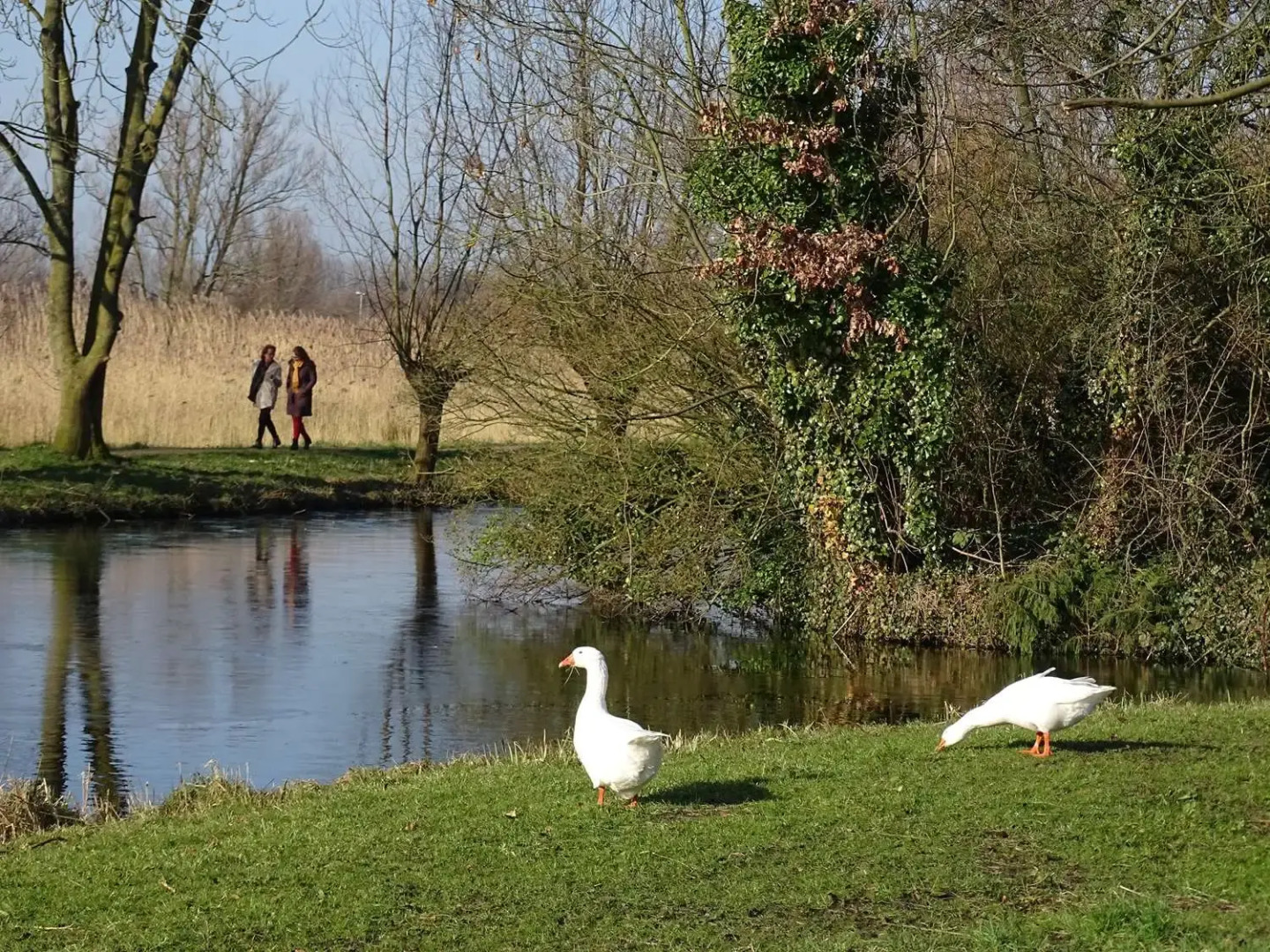 Photo - Amrâth Airport Hotel Rotterdam