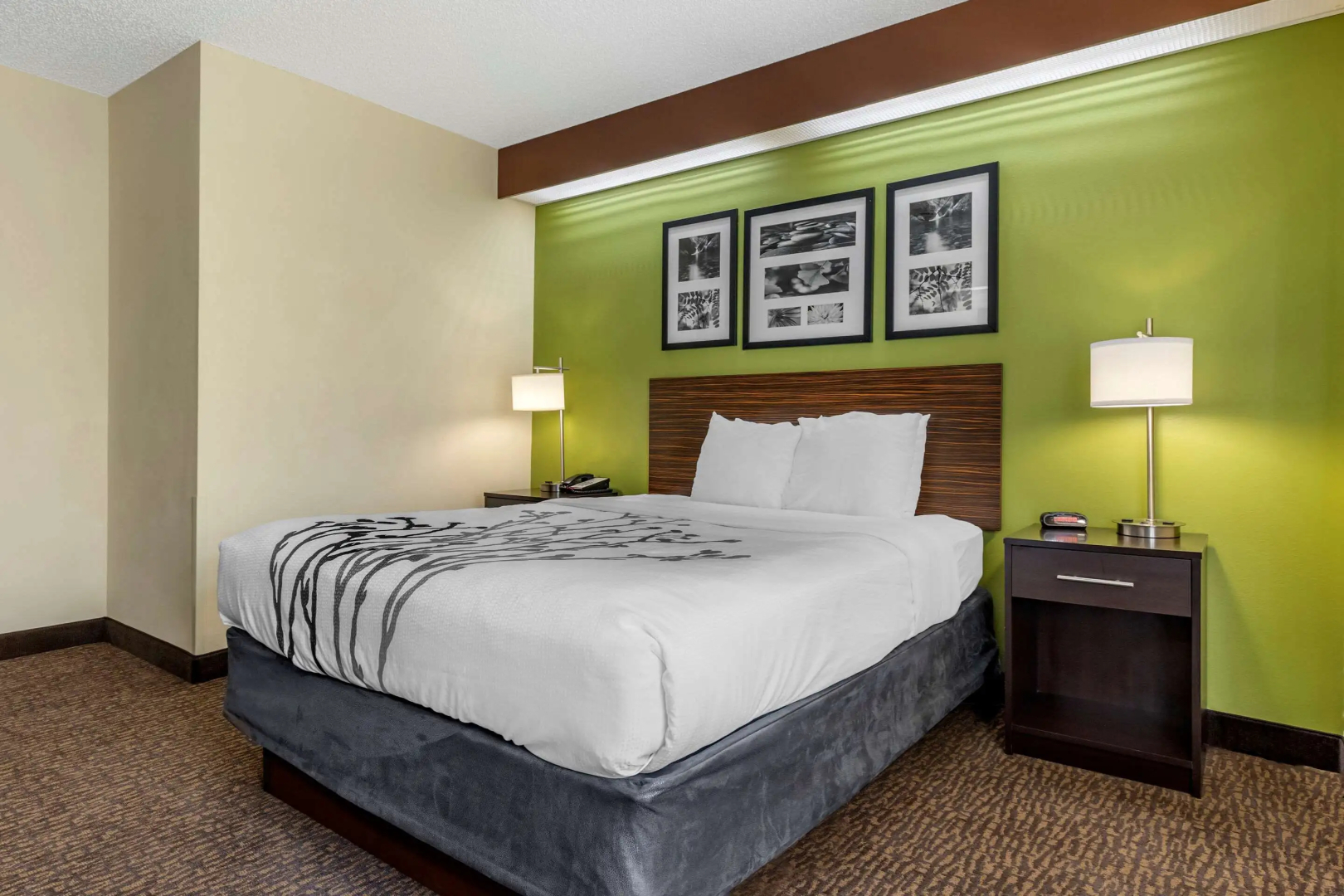 Foto - Sleep Inn Matthews-Charlotte