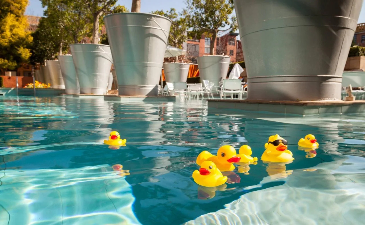 Photo - African Pride Melrose Arch, Autograph Collection