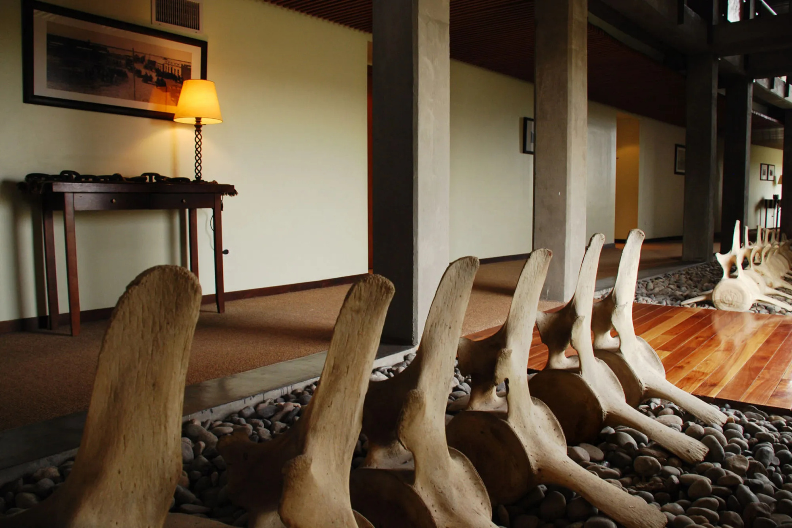 Photo - Hotel Territorio