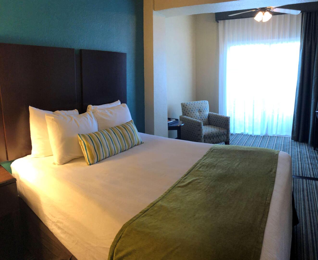 Foto - Palm Tree Club Miami