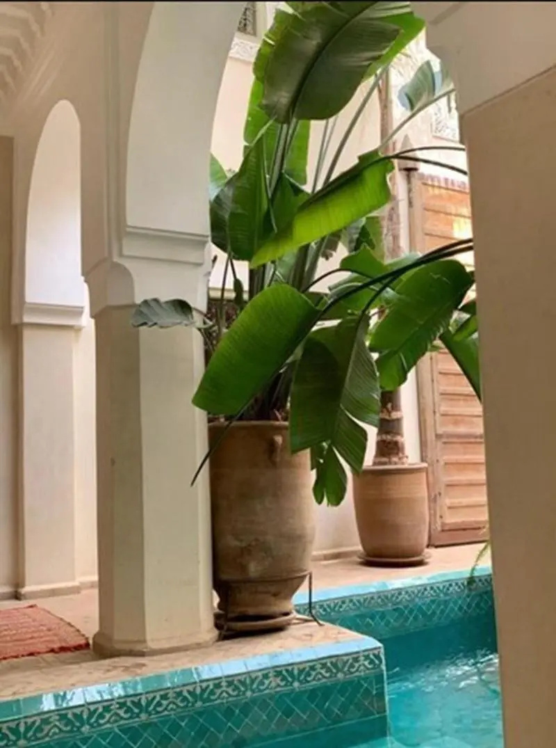 Foto - Riad Palacio de las Especias