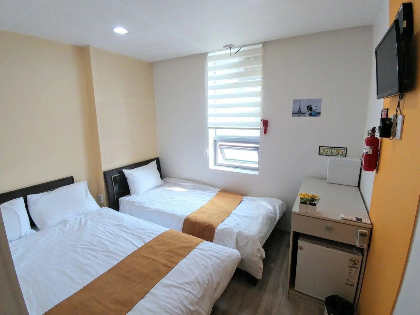 Foto - Hostel Tommy 50 off sale for 10th Anniversary on 2026