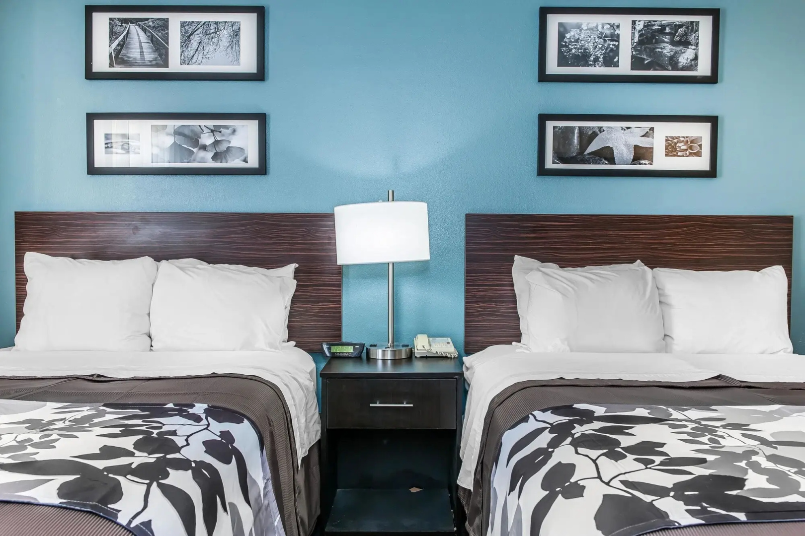 Photo - Sleep Inn Springfield West