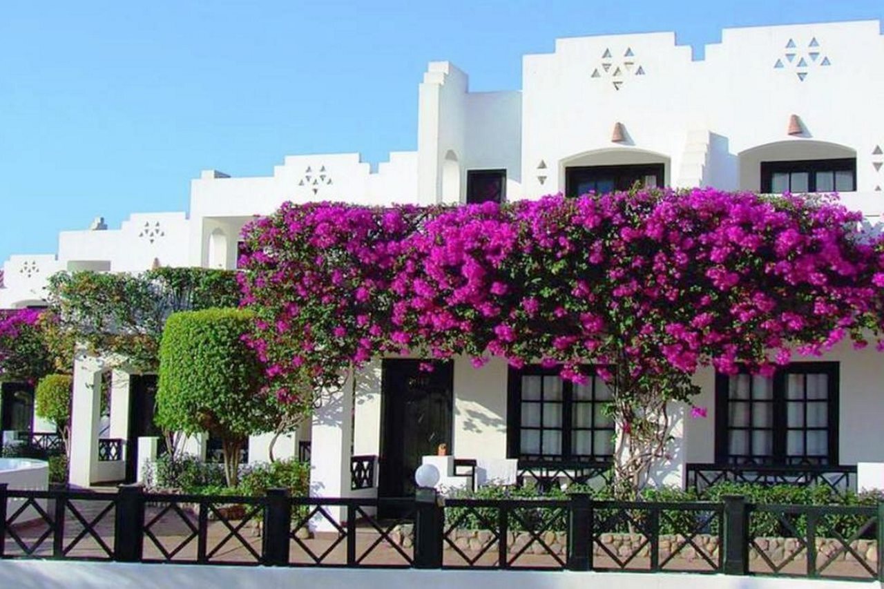 Photo - Verginia Sharm Resort & Aqua Park