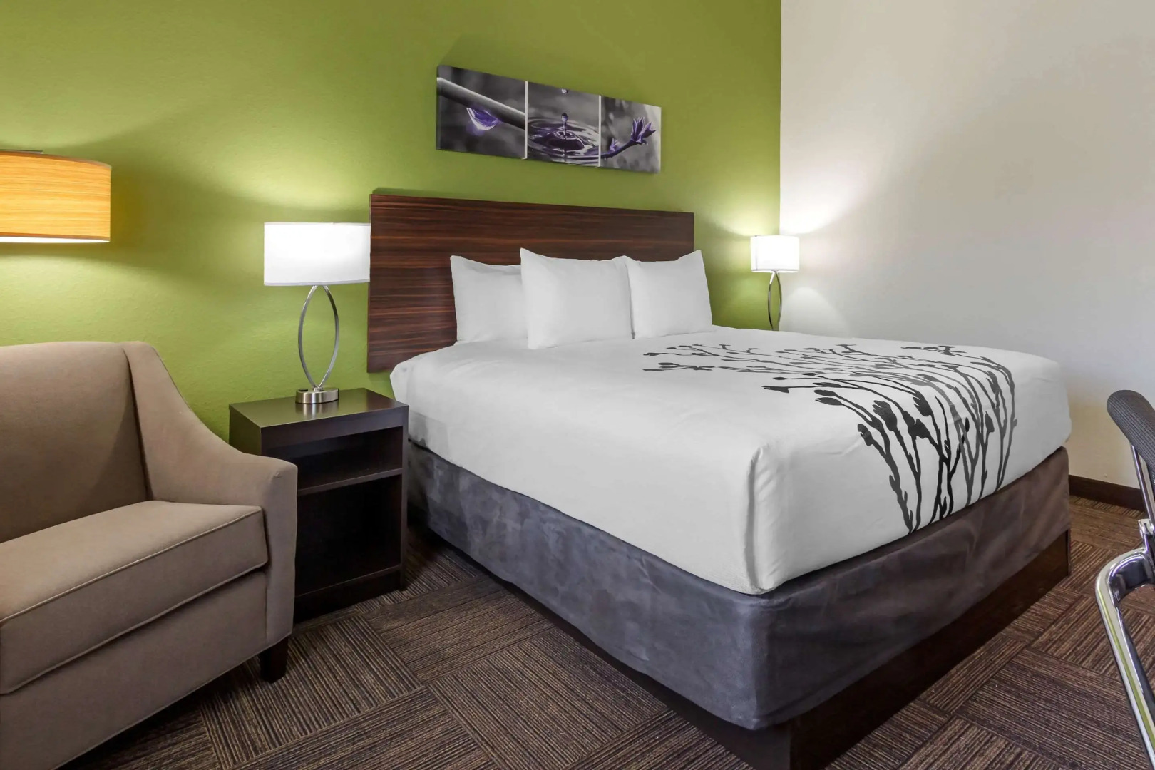 Photo - Sleep Inn & Suites Tampa South