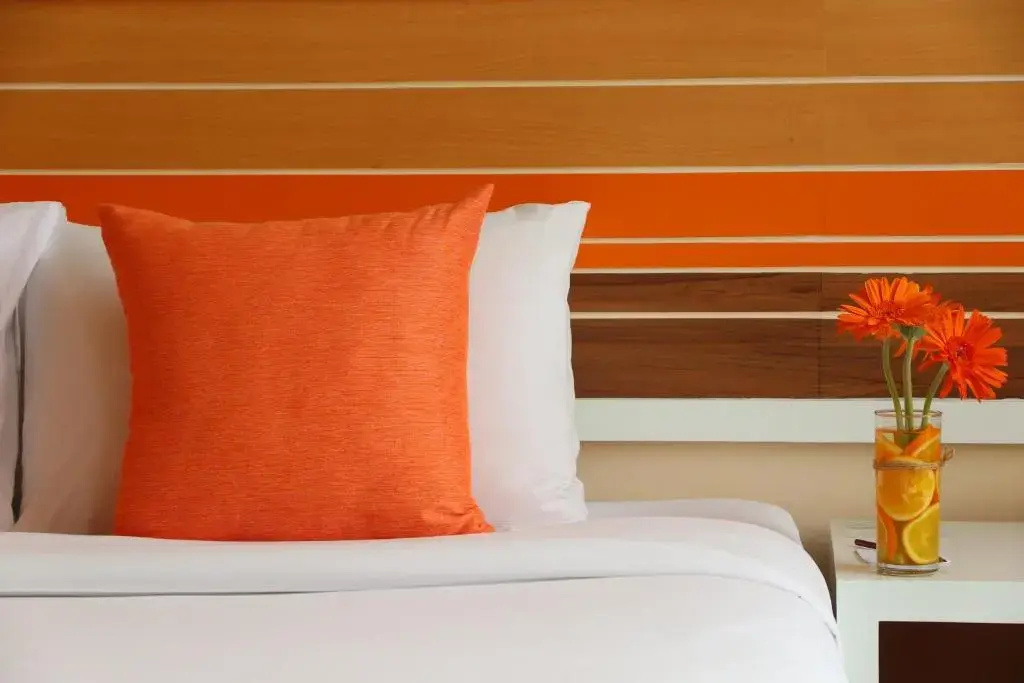 Photo - Imm Hotel Thaphae Chiang Mai