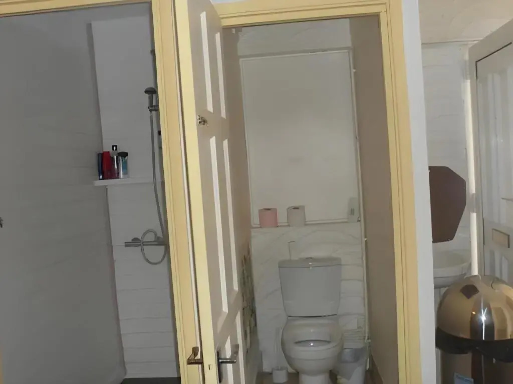 Foto - Swan Inn, Heathrow Airport