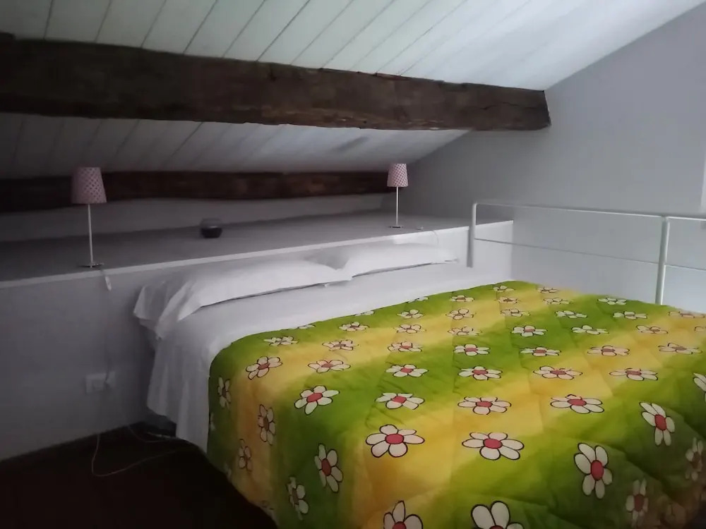 Foto - Tenuta Agricola Fonte Di Papa