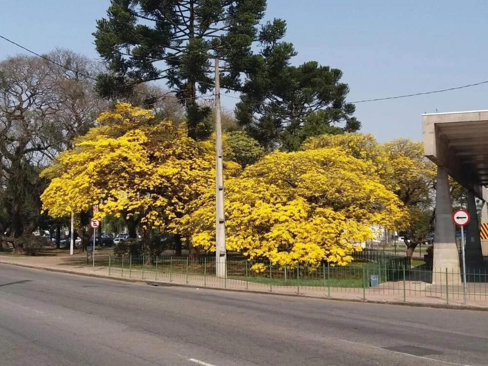 Foto - Hotel Itamaraty