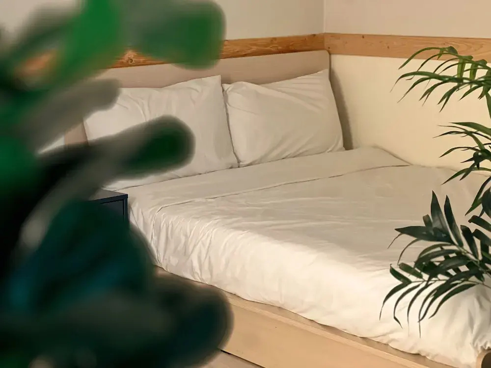 Photo - Jnineguesthouse