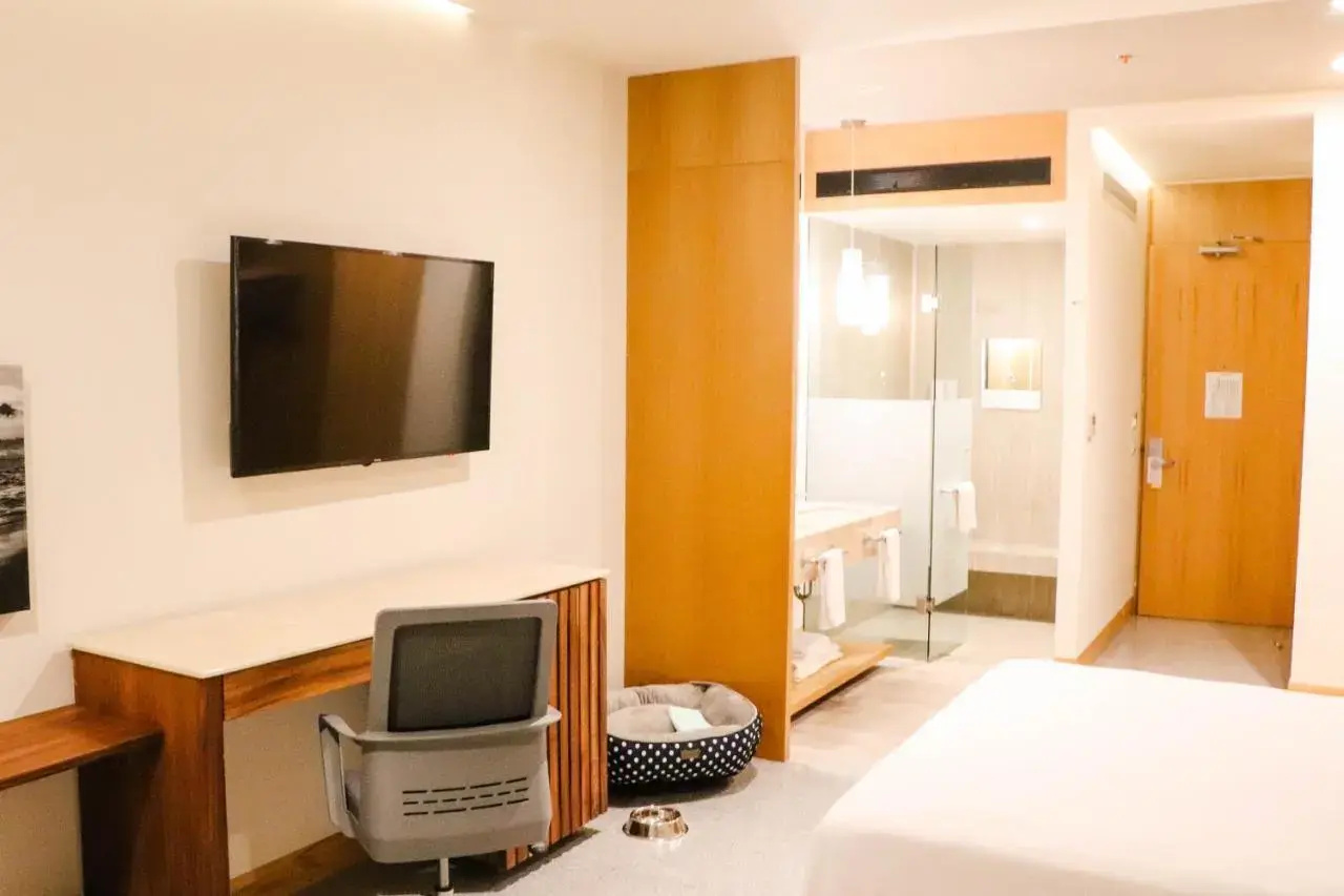 Foto - Hotel Mio Vallarta - Adults Only